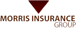 World Insurance Associates LLC's logo