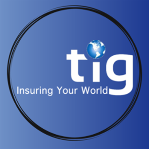 Terra Insure Group's logo