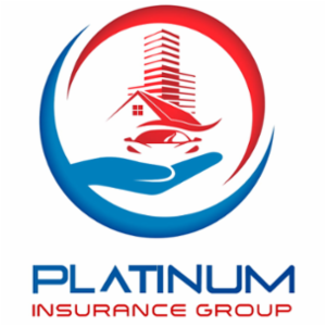 Platinum Insurance Group's logo